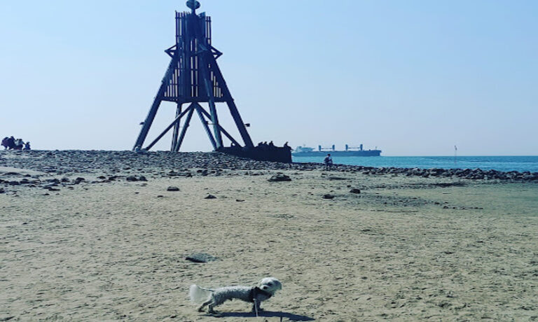 Cuxhaven Strand Tipps für deinen perfekten Urlaub an der SeeLeuchtturm
