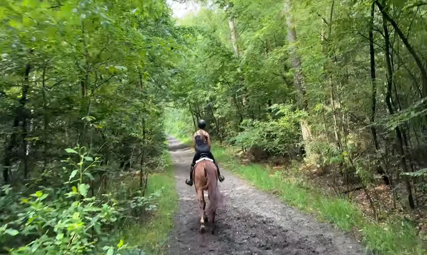 Reiten in Cuxhaven