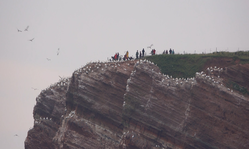 Lummensprung am Roten Felsen