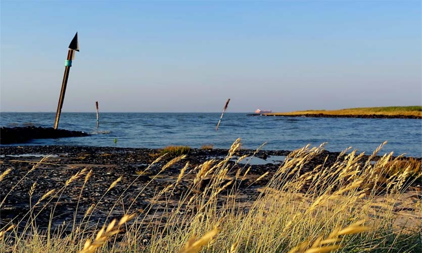 Medemmündung in die Elbe Otterndorf