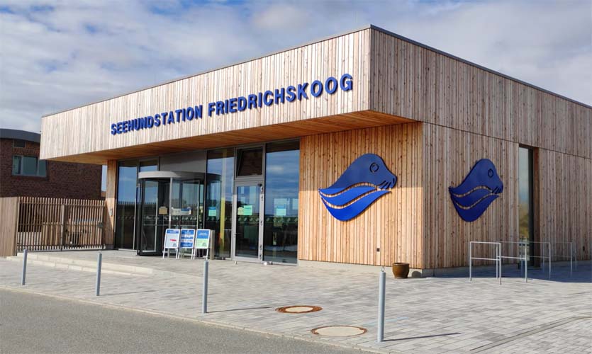 Seehundstation Friedrichskoog Seehunde Hautnah ErlebenLeuchtturm Neuwerk