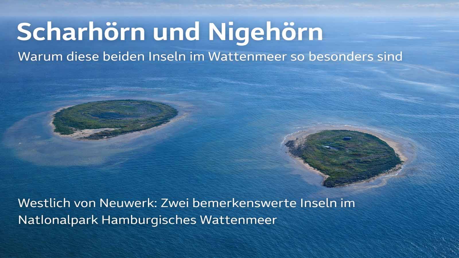 Luftbild von Scharhörn und Nigehörn im Wattenmeer mit mehr Wasser um die beiden kleinen Inseln und sehr wenig Text im Bild.